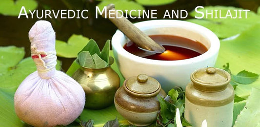 The Role of Shilajit in Ayurvedic Medicine