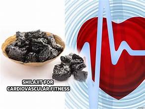 Shilajit and Heart Health: Promoting Cardiovascular Wellness